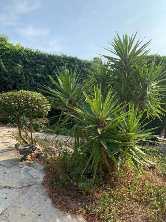 Villa Soledad Cassis Luaran gambar